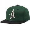 Altamont Decades Starter Cap Green