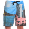 Analog Hi Res Boardshorts