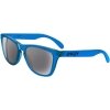 Oakley Frogskin Acid Blue Grey
