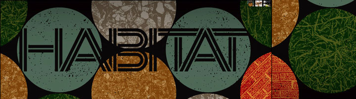 Habitat skateboards