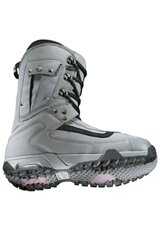 Vans Danny Kass 2 (light gray)