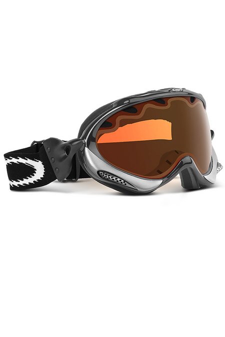 Oakley Wisdom goggles (jet black)