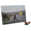 Emerica Stay Gold Deluxe Book and Dvd