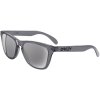 Oakley Frogskin Acid Black Grey