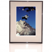 Trevor Graves - Abe Ross Print