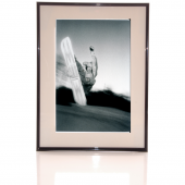 Trevor Graves - Noah Brandon